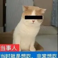 qq online deposit pulsa 5000 Anda! Fu Hongyi sangat marah sehingga wajahnya memerah dan lehernya tebal.